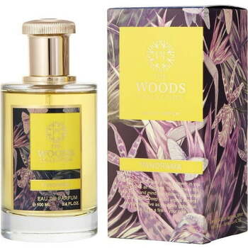 Panorama EDP
